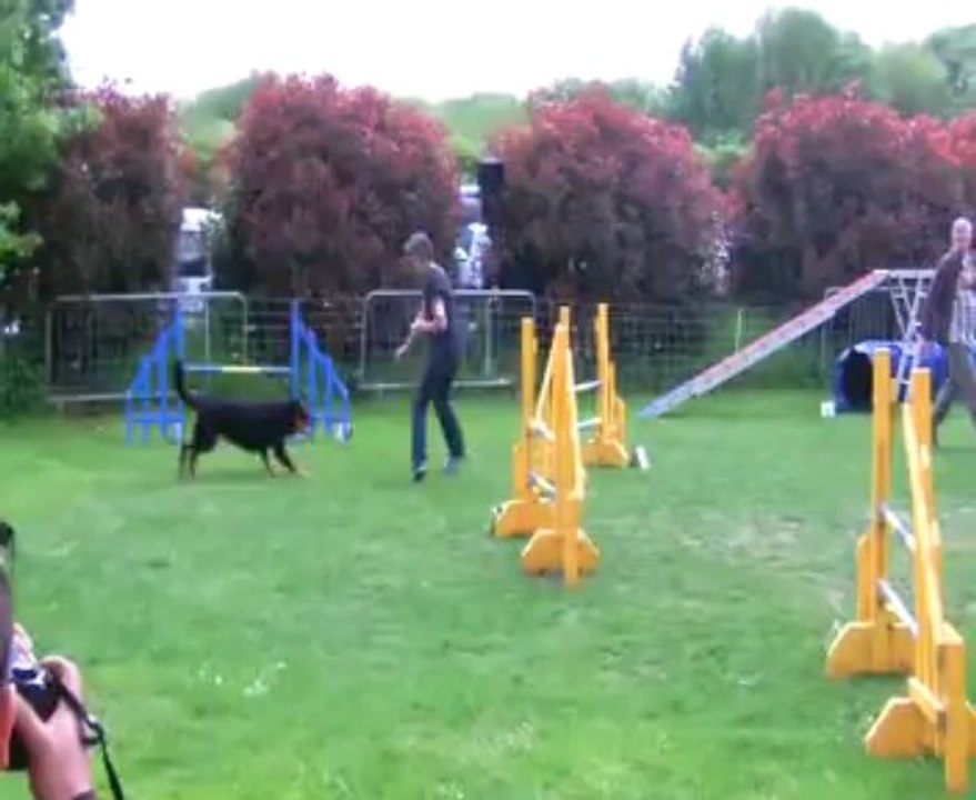 Concours de Saint Vrain 2013    FANFAN + DANA   GPF