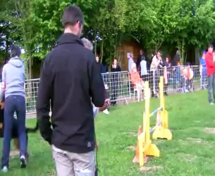 Concours de Saint Vrain 2013 FANFAN + DANA JUMPING+