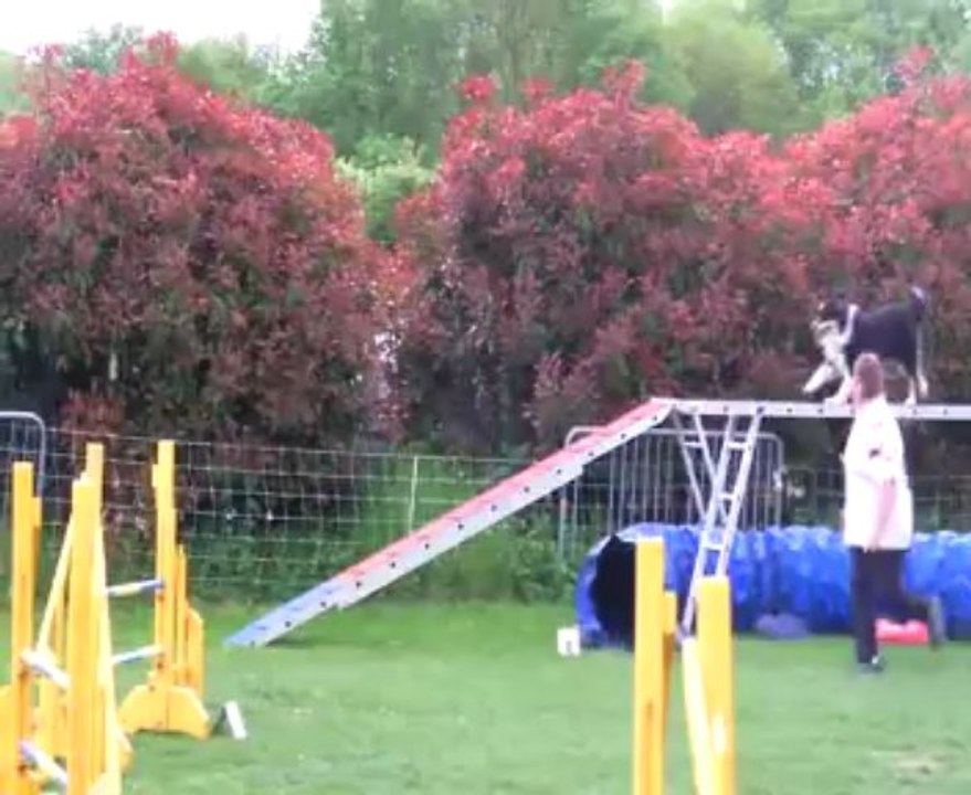 Concours de Saint Vrain 2013    FEEBY+ GIGI  / GPF