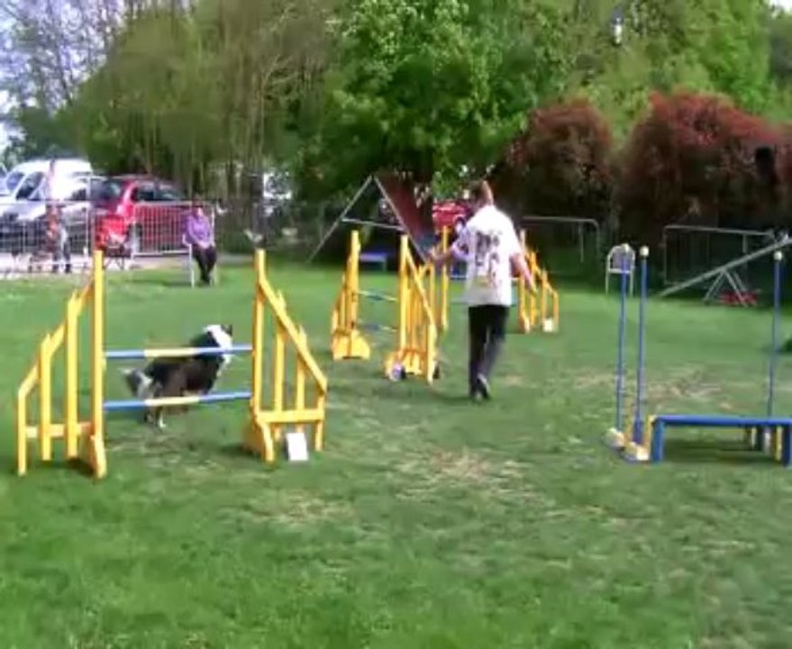 Concours de Saint Vrain 2013    FEEBY+GIGI  / JUMPING