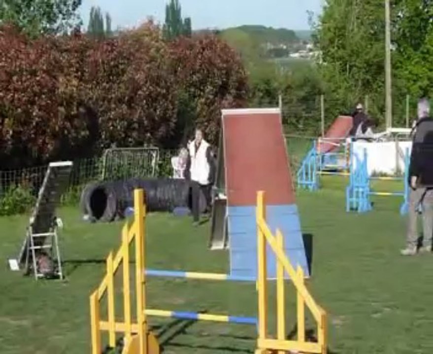 Concours de Saint Vrain 2013  Feeby + Gigi   OPEN