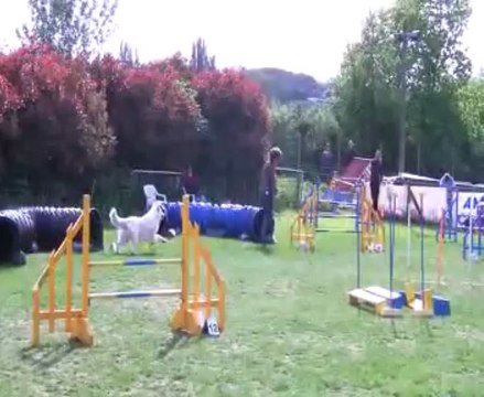 Concours de Saint Vrain 2013 MARIE+CASSIS JUMPING