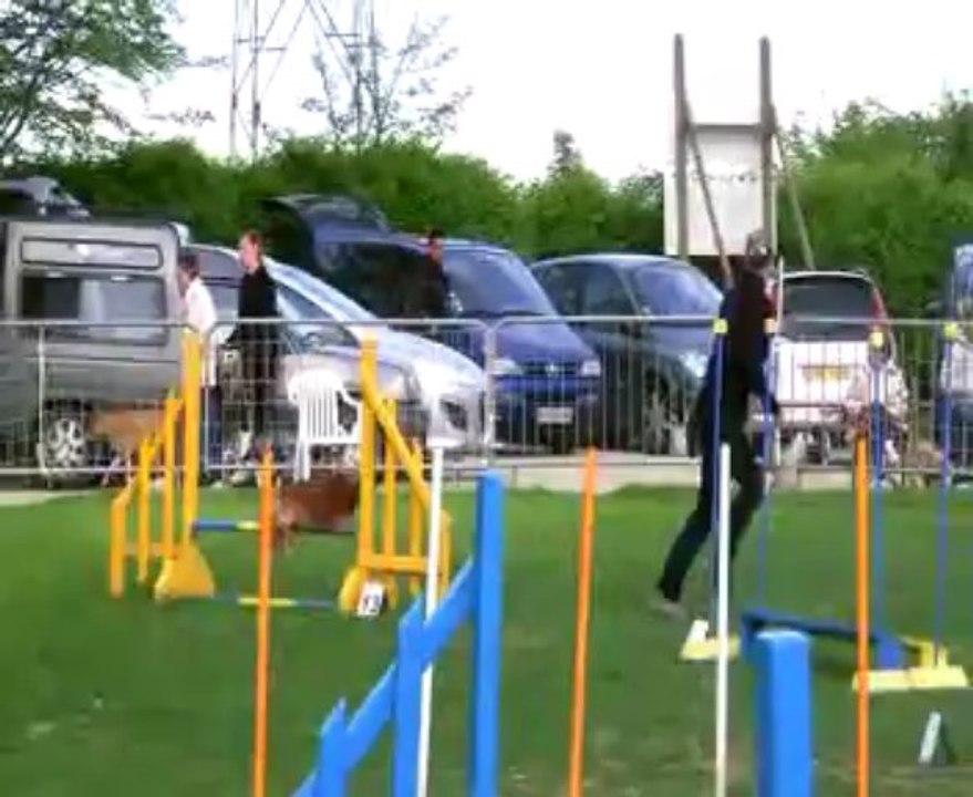 Concours de Saint Vrain 2013   NADEGE+CHEEPER    JUMPING+