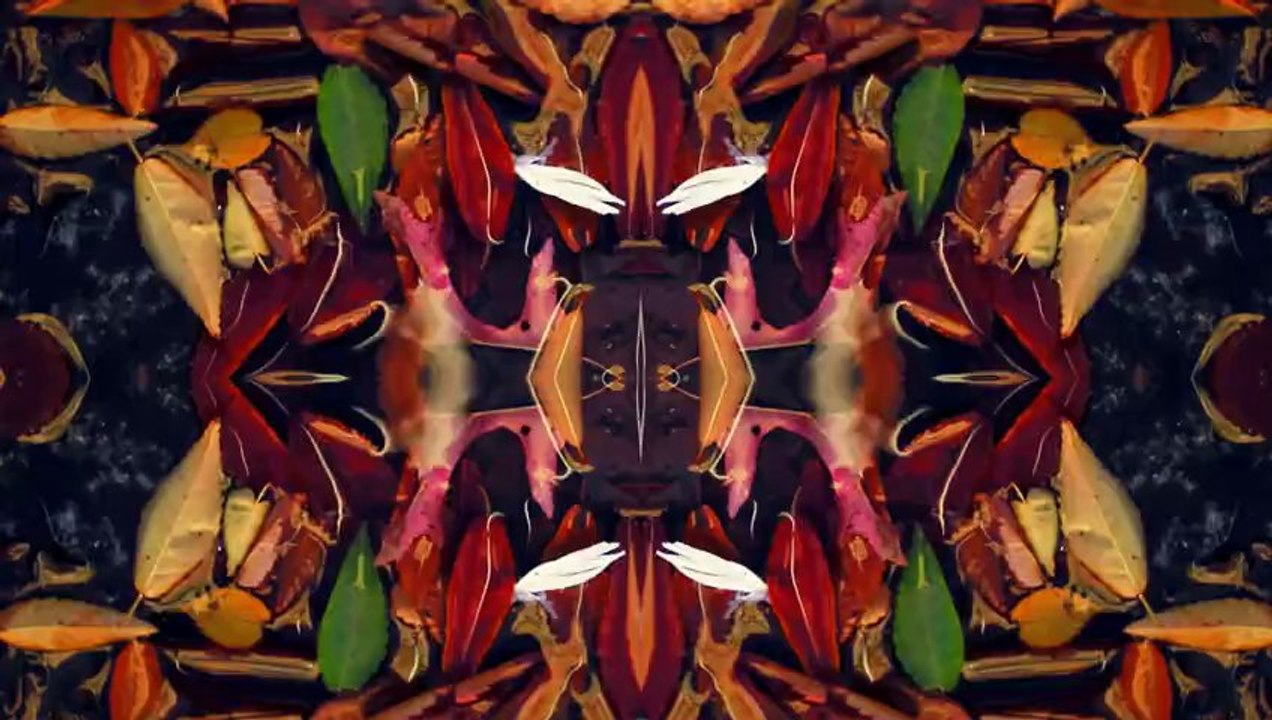 Washed Out - Paracosm (Album Teaser)