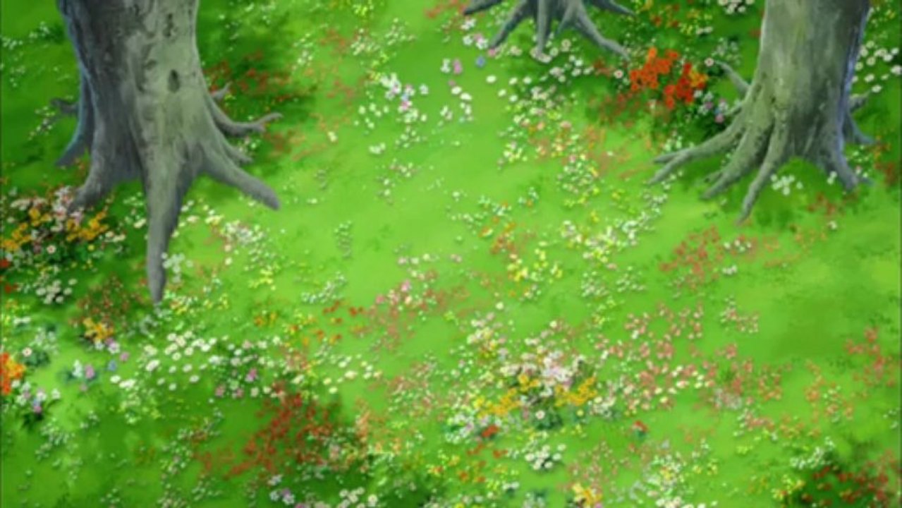 video (7)