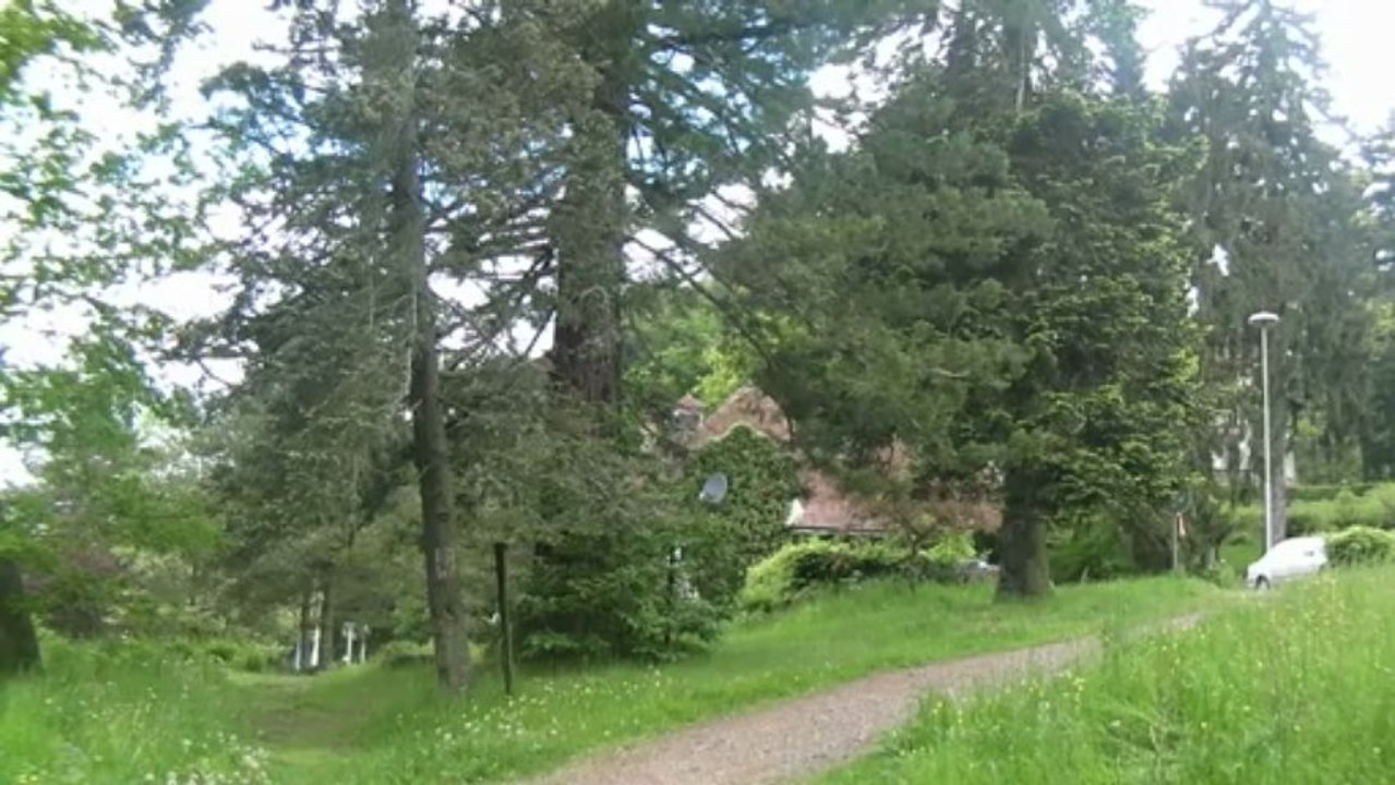 Am würzbacher weiher