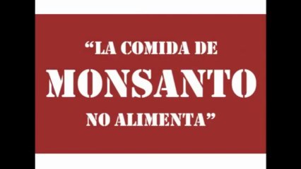 Muévete Puerto Rico. Marcha hoy sábado 25 contra Monsanto