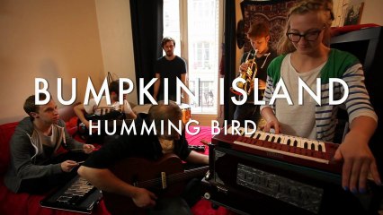 Bumpkin Island - Humming Bird (Froggy's Session)