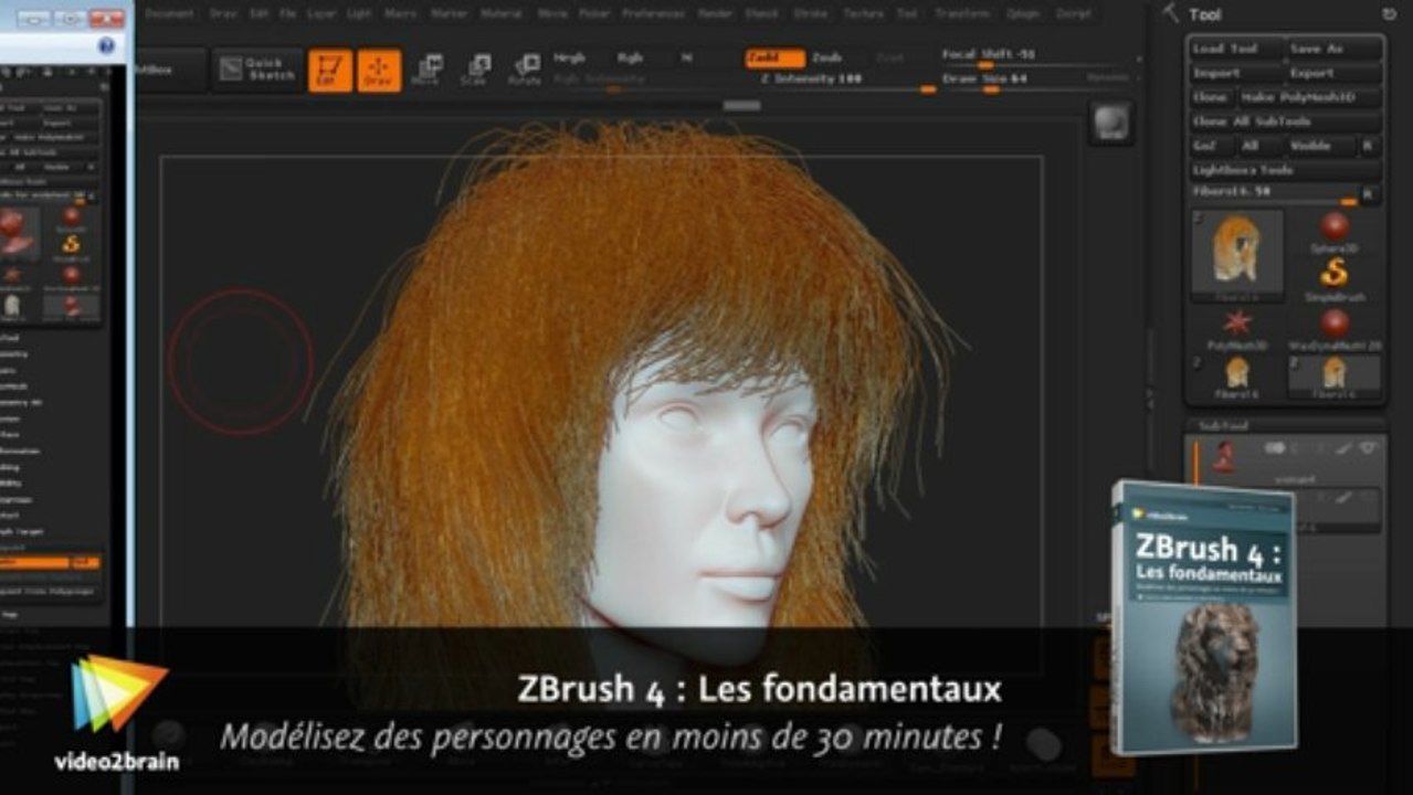 Ateliers pratiques avec ZBrush 4 : Modélisation de cheveux et de fourrure