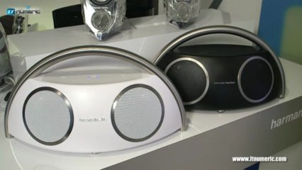 Harman Kardon Go+Play Wireless