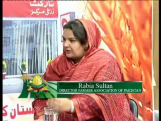 Zari Pandal with Saghir Ramay on Suger Cane Farmers Problems Part 02