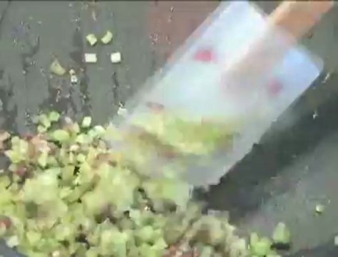 Huîtres chaudes céleri-curry