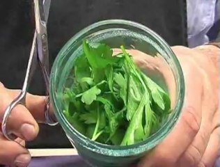 Poissons crus et gaspacho solide