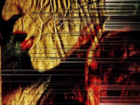 Cover de cd par Jean-François Dupuis