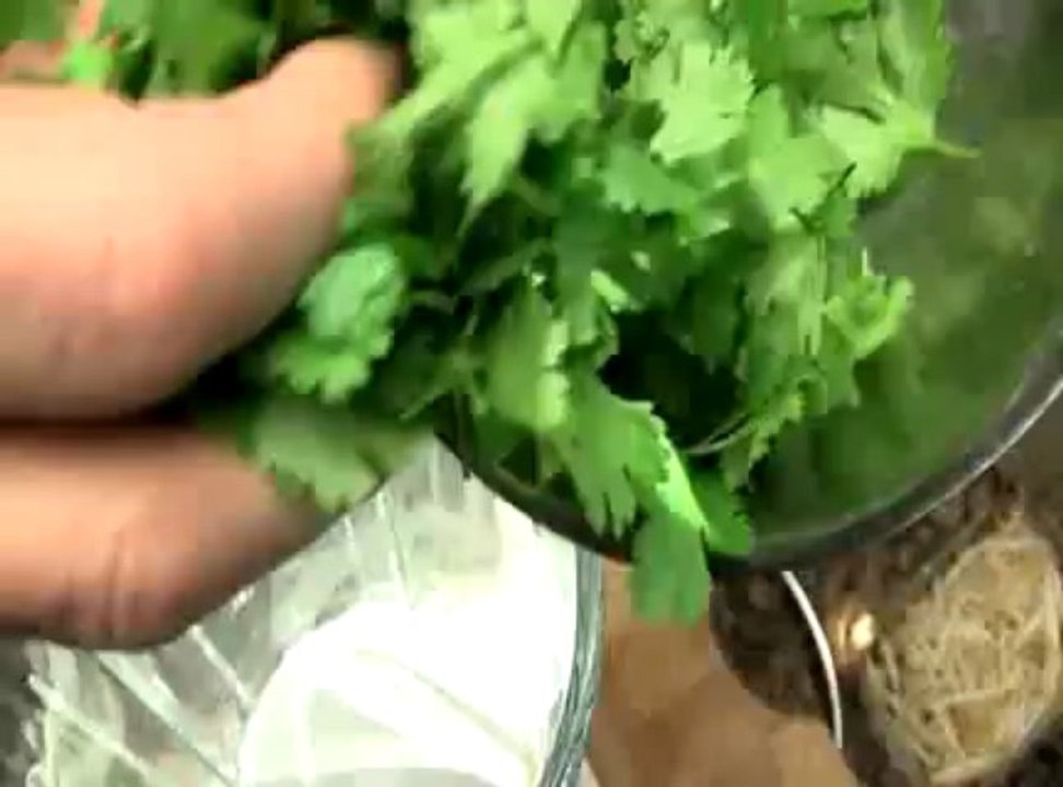 Salade exotique, vinaigrette coco-coriandre
