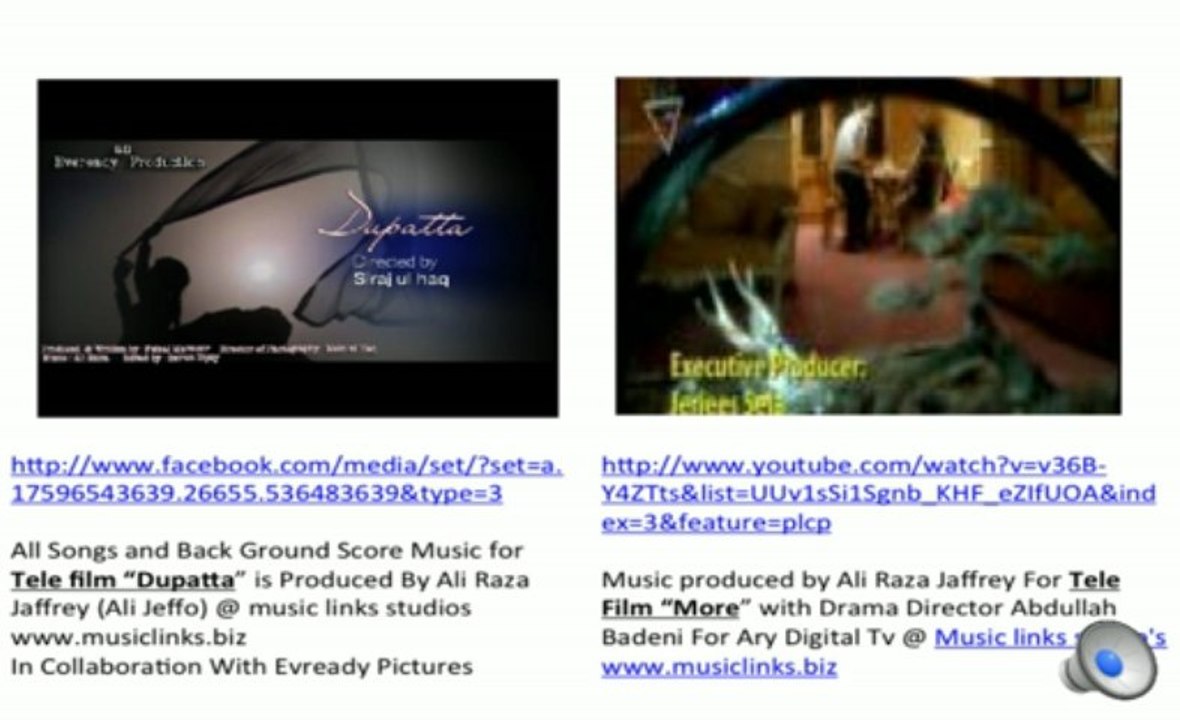 Presentation musiclinks.biz  13 Show Reel