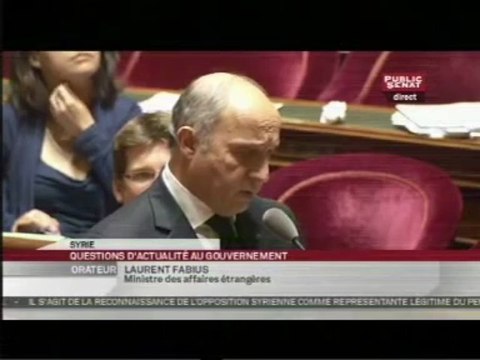 Réunion des Amis de la Syrie et le retour de Fabius devant le Sénat (23.05.2013)