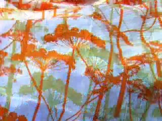 Le design scandinave à Paris