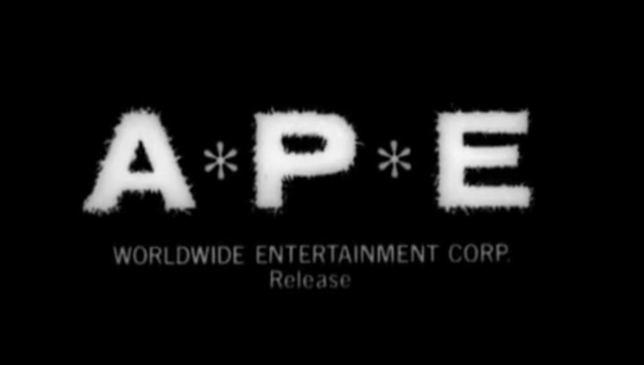 R*A*P*E commentary 01