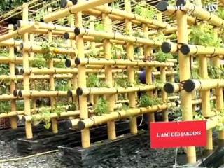 jardin vertical, le jardin de demain