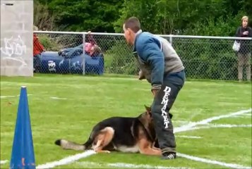 BEAUVAIS SELECTIF RING 2013