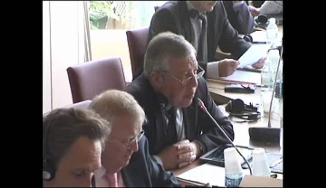 Commission des affaires étrangères / Mercredi 15 mai 2013 : Audition de MM. Saheb Bamya et Arie Arnon