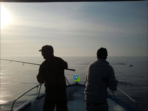 Pêche en Mer Méditerranée avec Roussillon Fishing