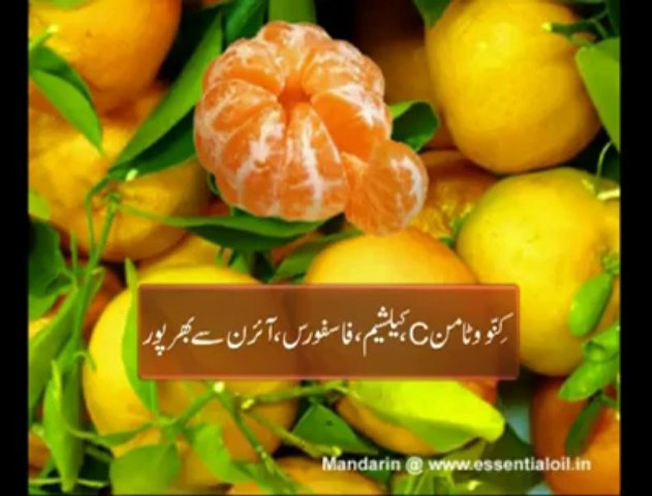 Pakistan Produces 95% Orange of This World