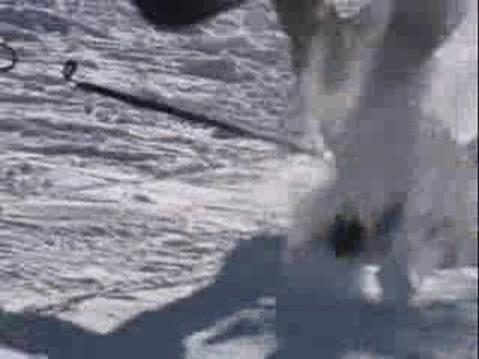 world cup snowkite