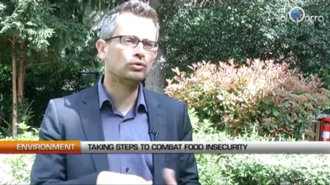 Sustainable solutions to food insecurity