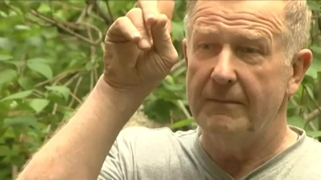 L'exploit d'explorateurs russes sur la banquise du Pôle nord