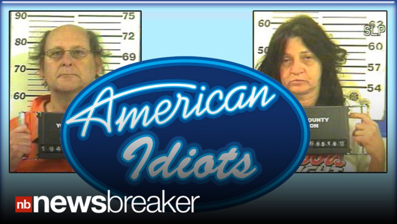 AMERICAN IDIOTS: Couple Stab Each Other Over American Idol