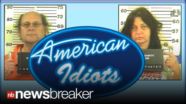 AMERICAN IDIOTS: Couple Stab Each Other Over American Idol