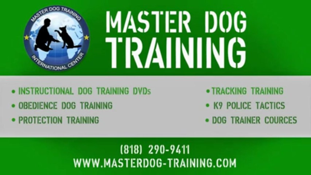 Obedience Dog Training DVD #3 - Motivation & Training Equipment for only $39.95