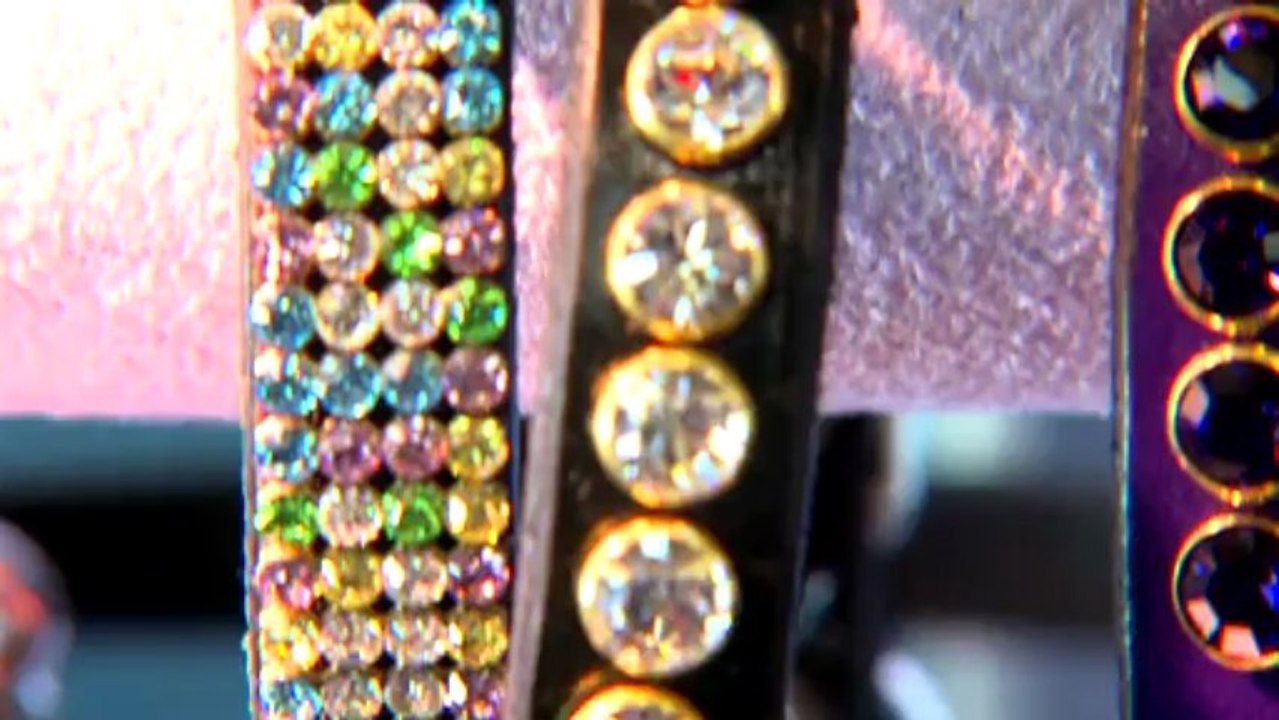 Puppy Angel und Diamond Dogs