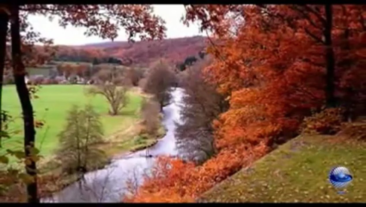 It Is Weer Voorbij Die Mooie Zomer - Dana Winner