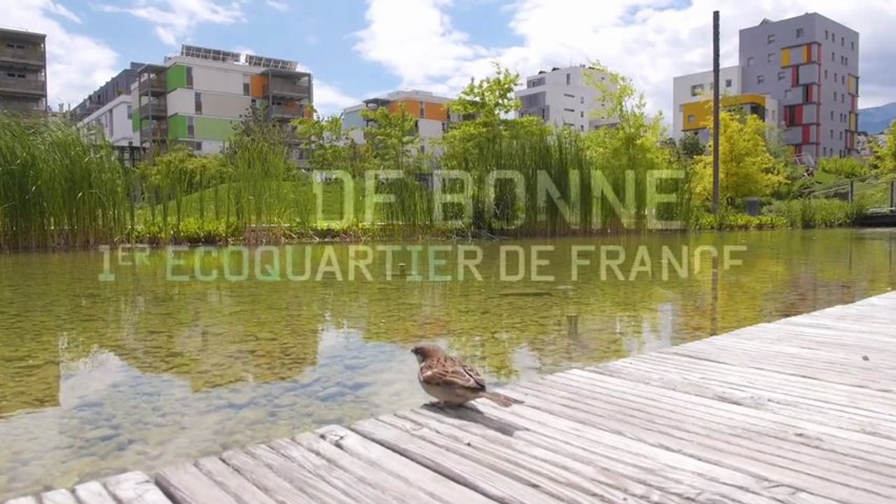 P1030649.MOV_01