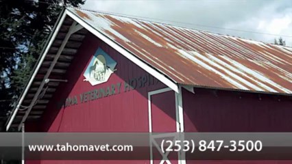 Welcome to Tahoma Veterinarian Hospital