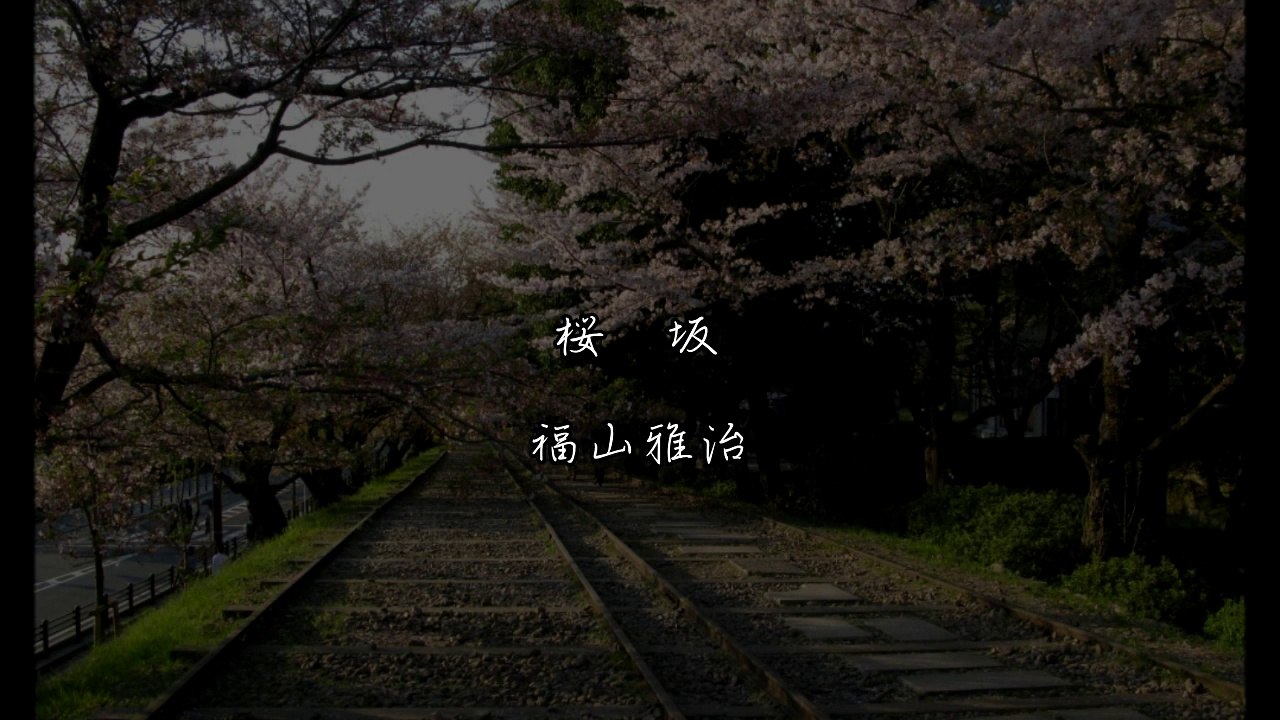 福山雅治 ー 桜坂