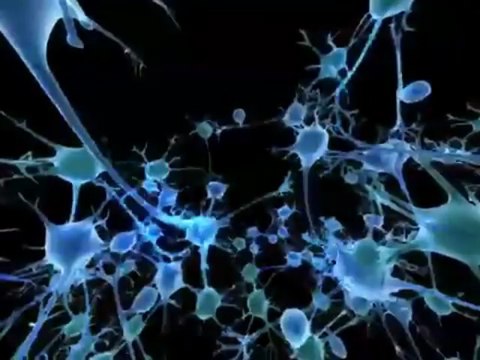 Gerald Schell MD - Alzheimers Disease Understanding Disease