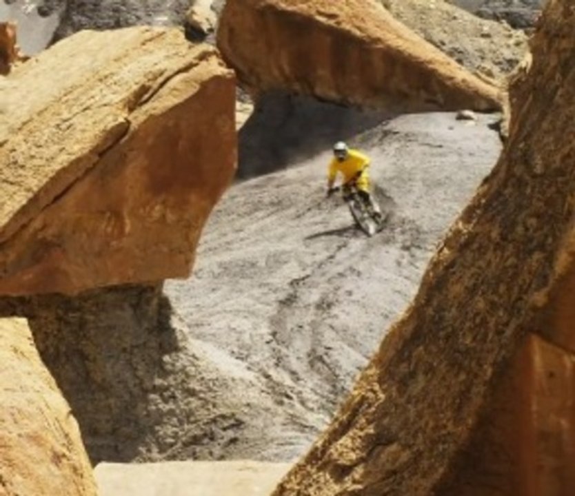 Life Cycles 2011