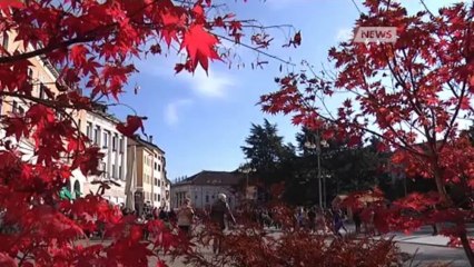 MASSARO, PRIMO ANNO A PALAZZO ROSSO