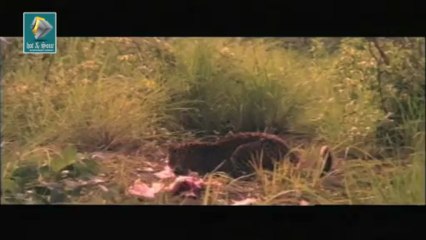 Romantic Malayalam Full movie Churam part 34