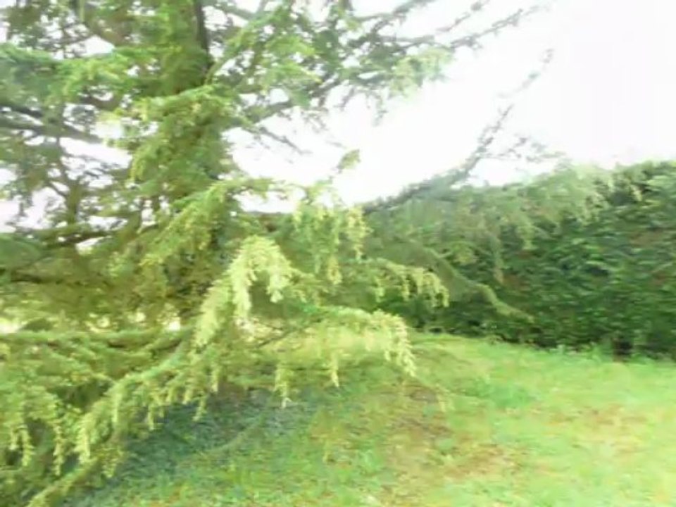 Maison 4 chambres à vendre à 5 min de MORESTEL (38510)