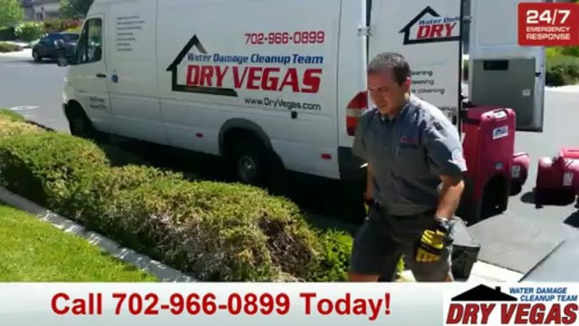 DryVegas - This Is How We Keep Vegas Dry