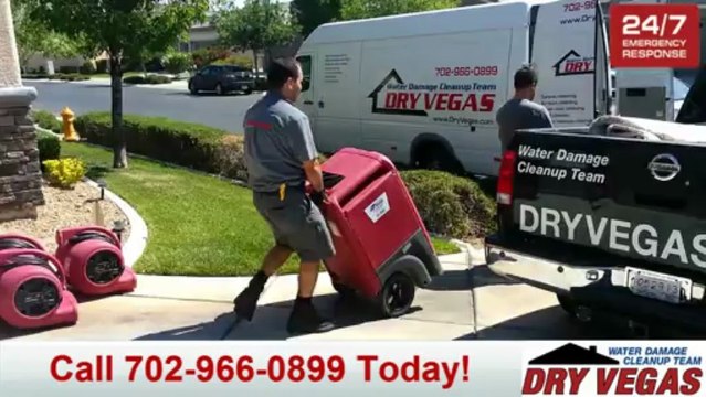 Dry Vegas Inc. - We'll Keep Vegas Dry