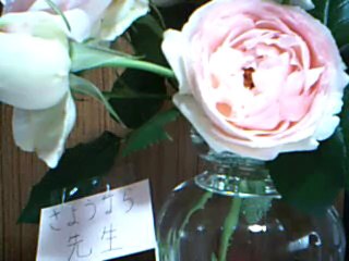 誰にも聴こえない歌。題 『さようなら先生』（再ﾚｺｰﾃﾞｨﾝｸﾞ・ﾊﾞｰｼﾞｮﾝ）百合すみれ