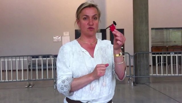 Le médiator pour les nuls par Irène Frachon