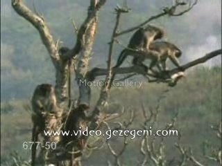 make sure the kids are asleep befor