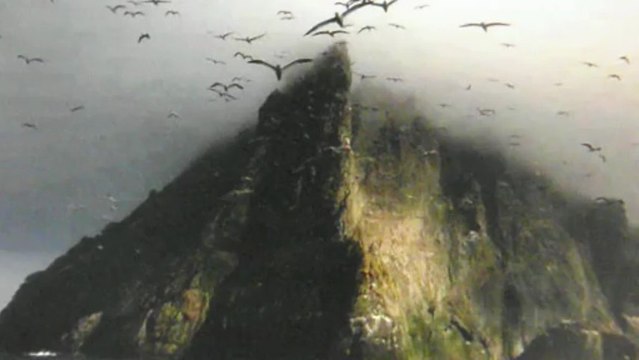 ANA ARIAS SAAVEDRA- DÍA MUNDIAL DAS AVES MIGRATORIAS-VOOS AMOROSOS-POEMA DA AUTORA -COLABORANDO CON MURALLA VIVA-LUGO